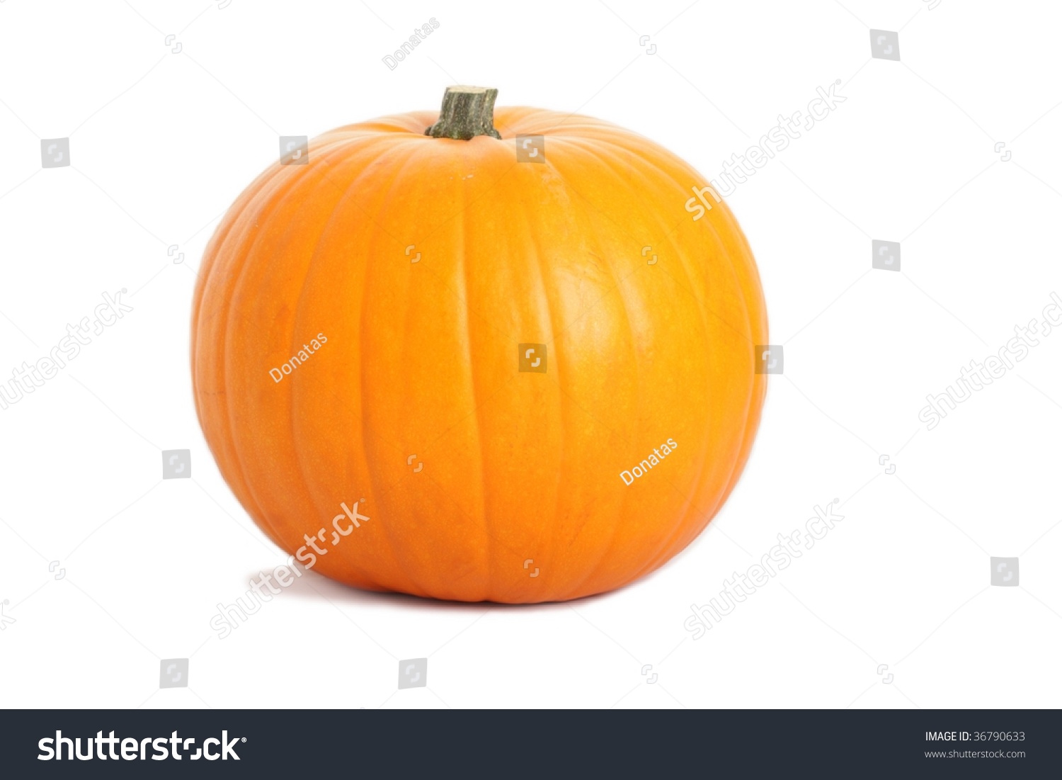 Pumpkin Isolated On The White Background Stock Photo 36790633