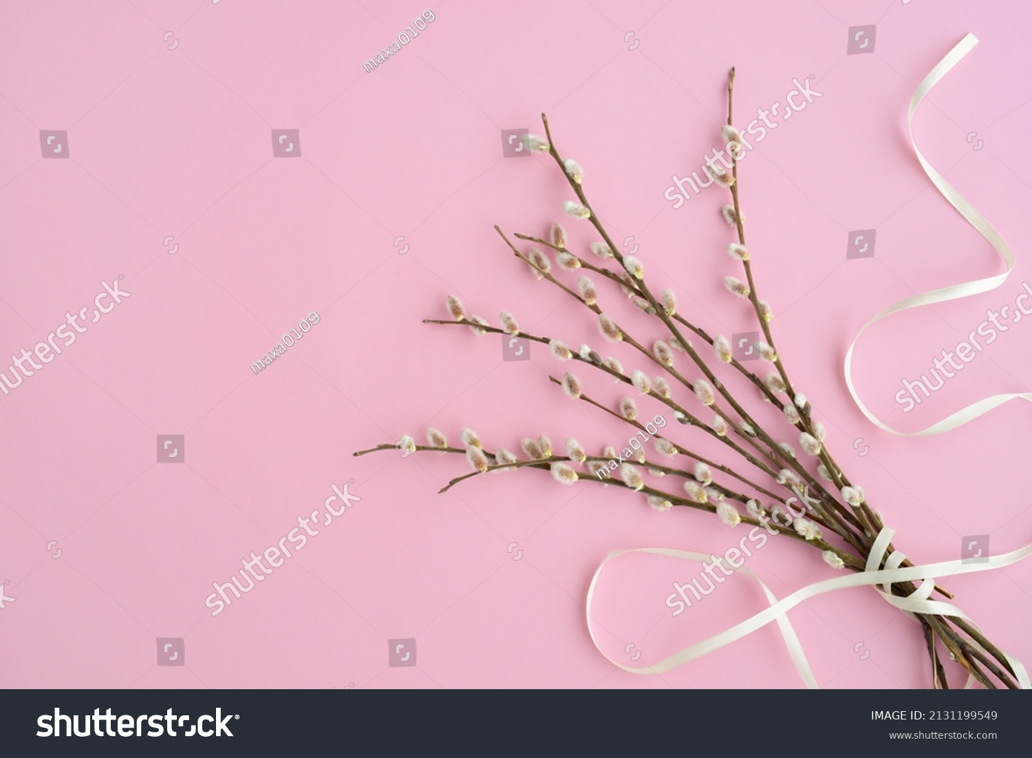 Pussy Willow Bouquet On Pink Background Stock Photo