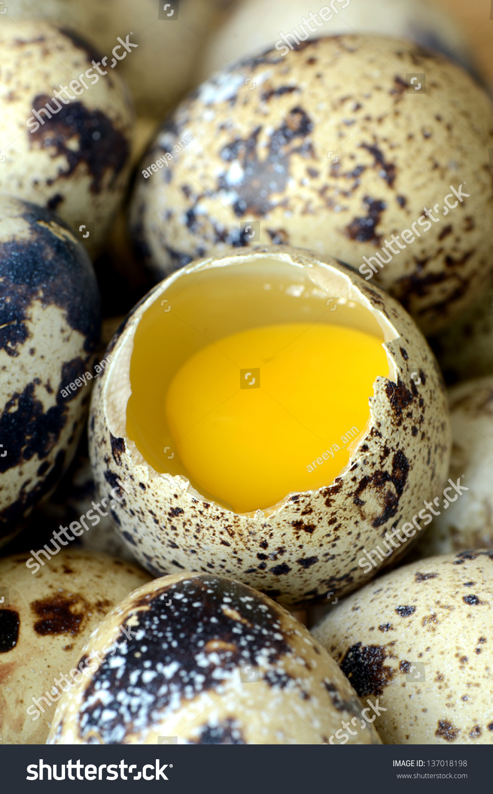 Quail Eggs; High Protein And Cholesterol Diets. Stock Photo 137018198 ...