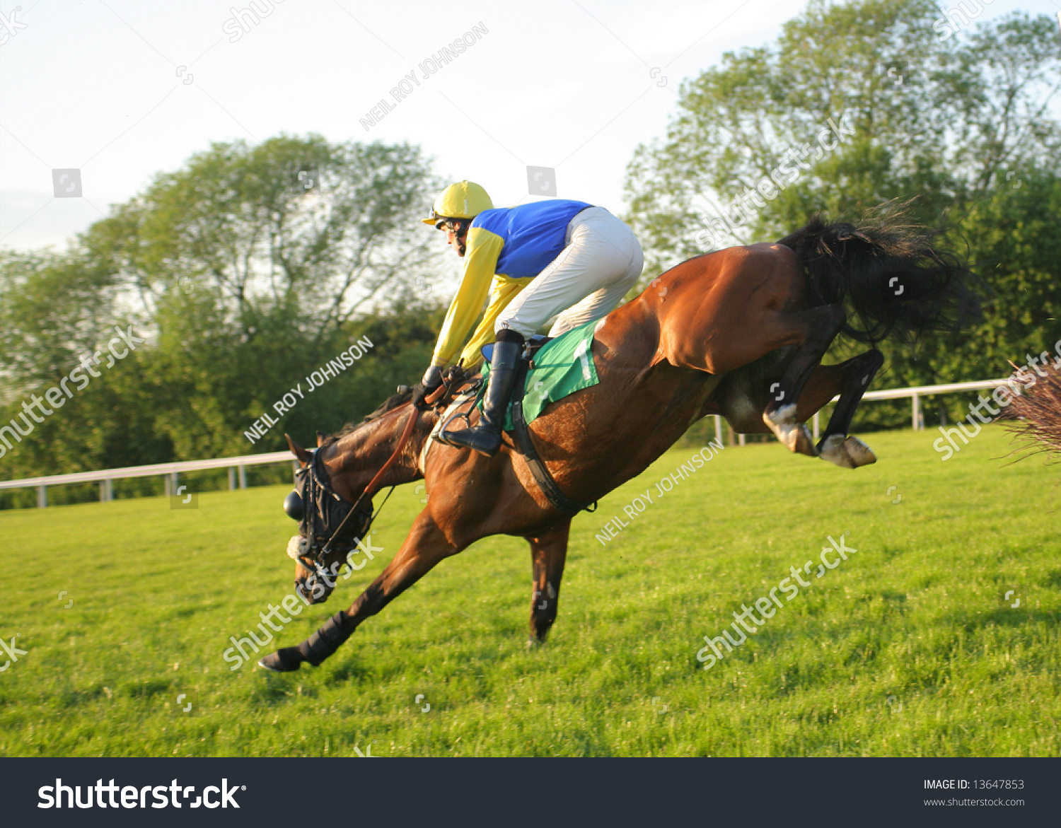 Horse Racing Hurdles