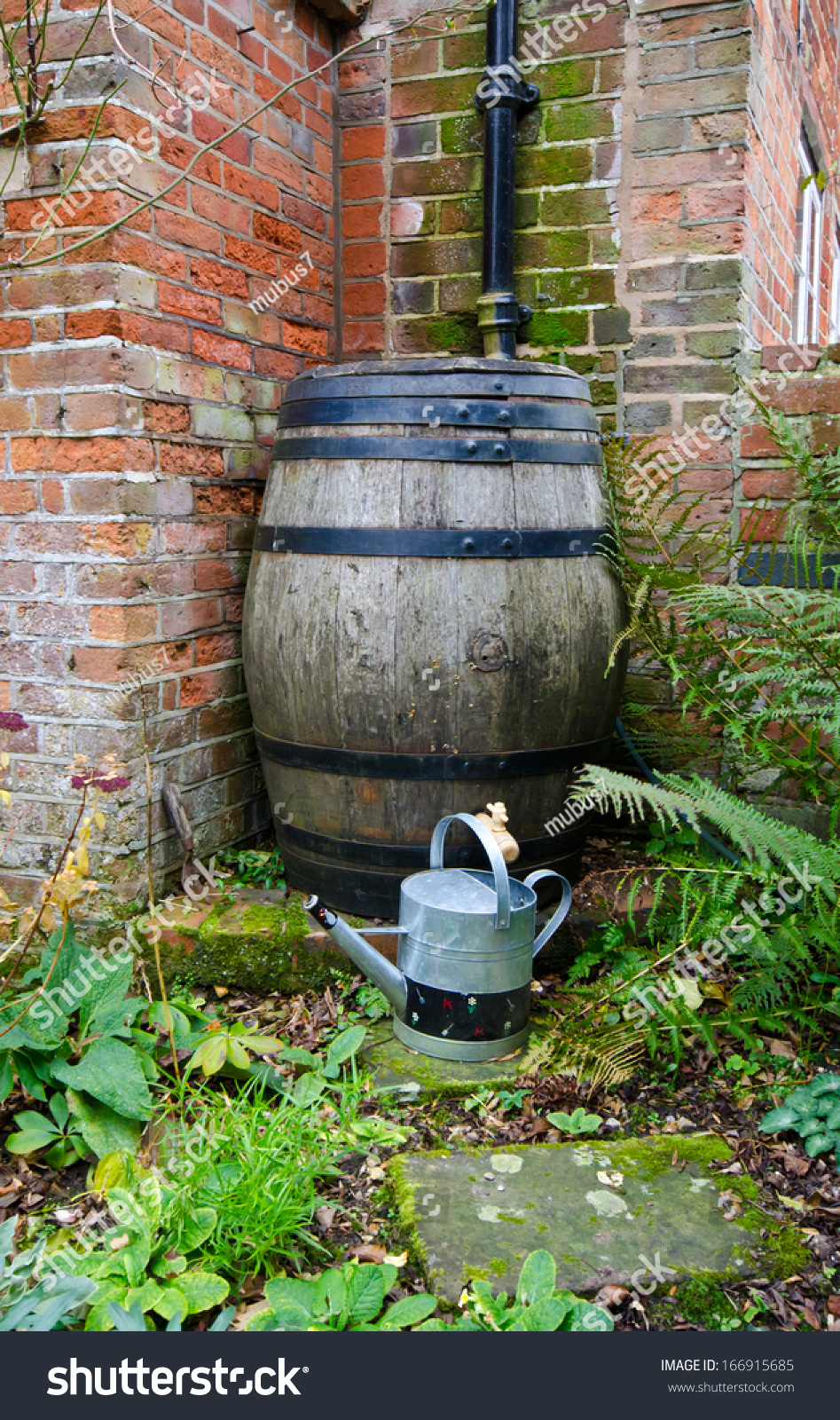 Rain Barrel Stock Photo 166915685 : Shutterstock