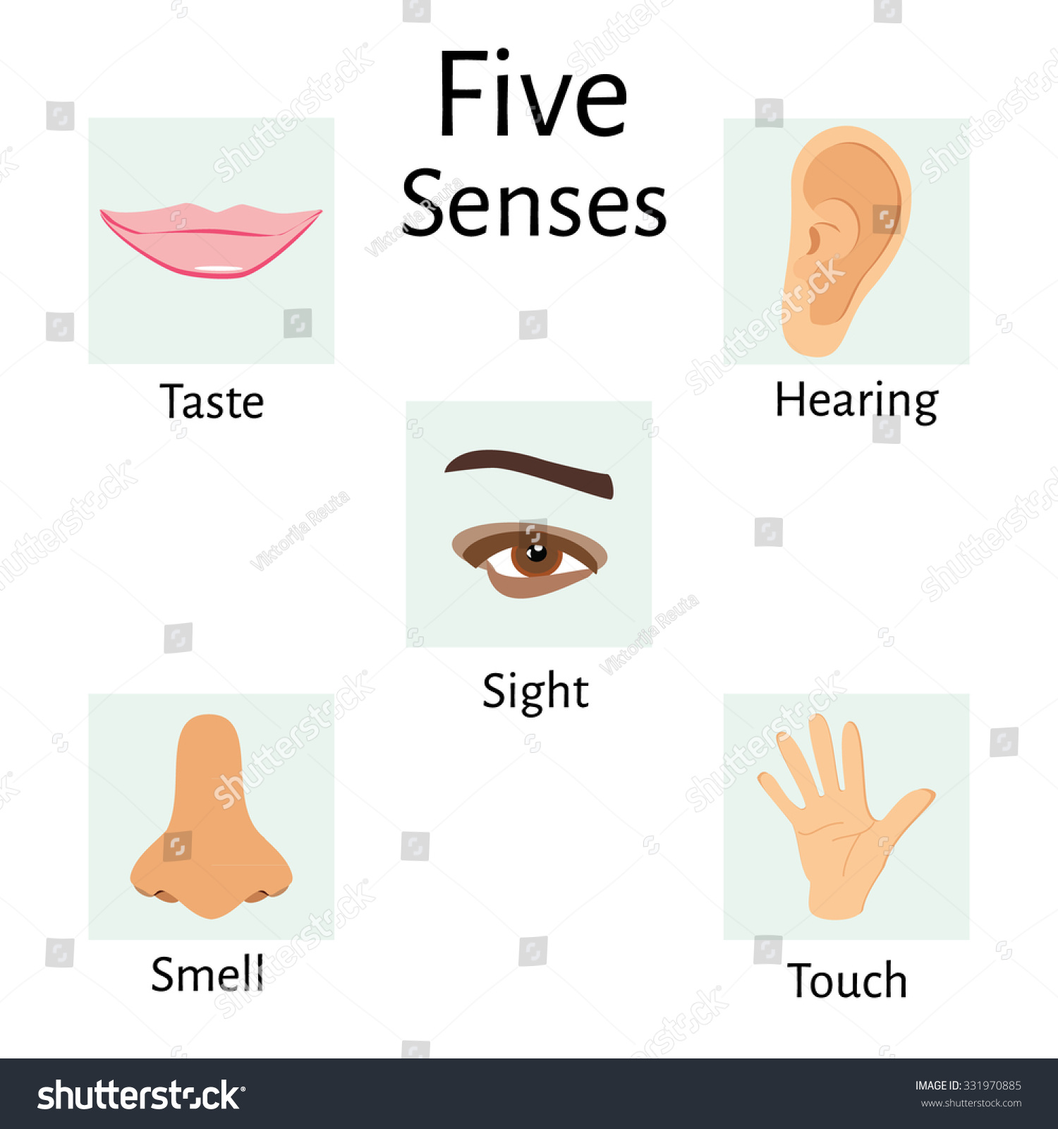 Raster Illustration Five Senses Icons Human Stock Illustration 