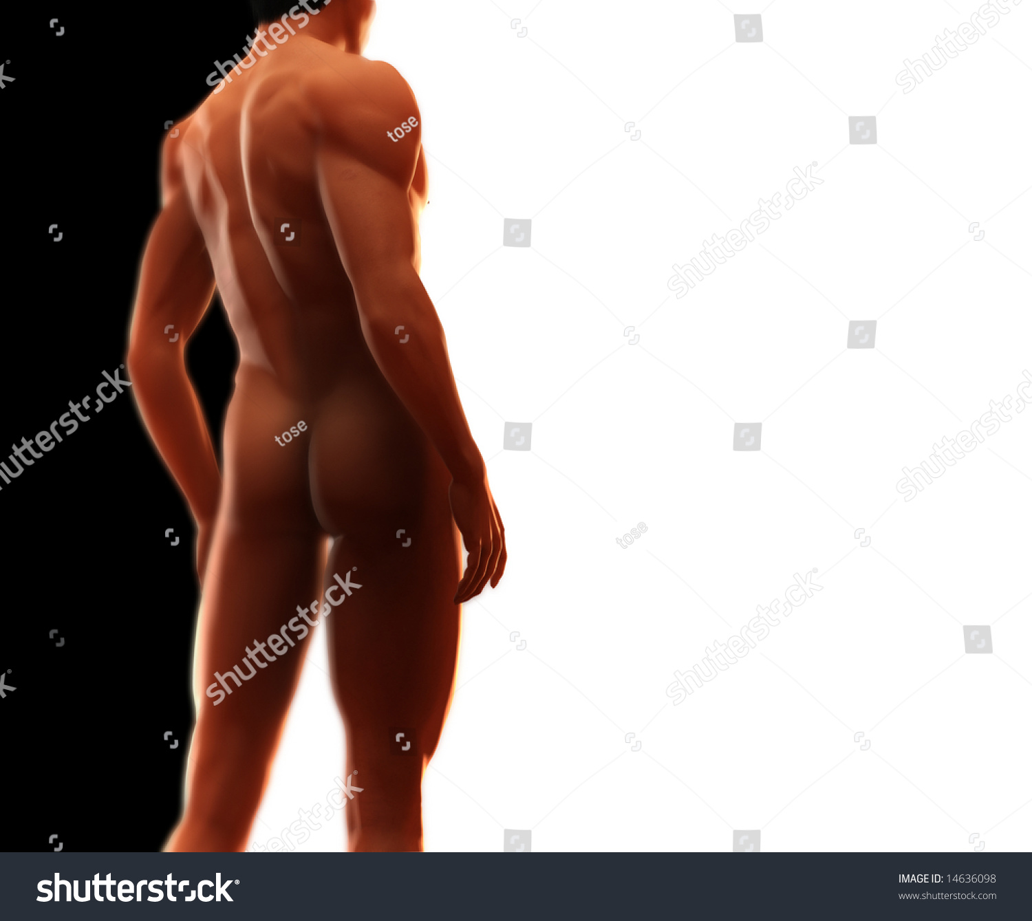 sci fi sex hentai gardevior
