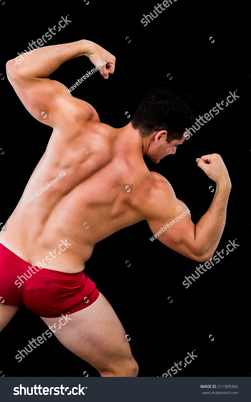 Rear View Shirtless Muscular Man Flexing Stock Photo 211909366