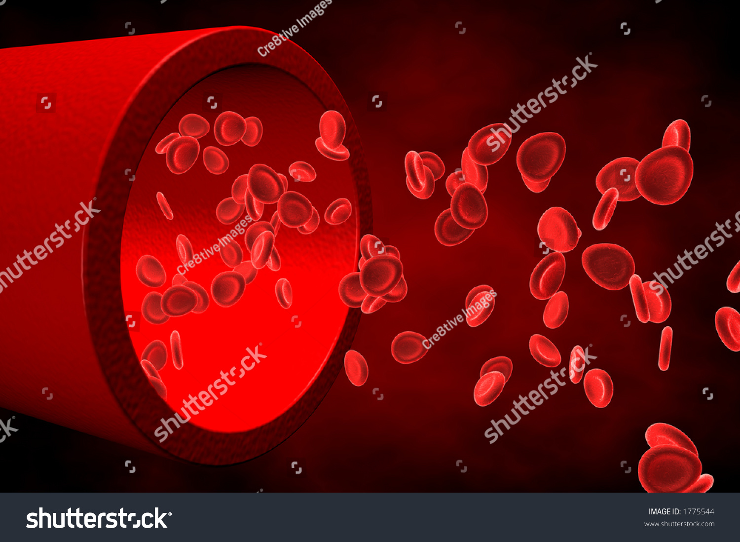 Red Blood Cells Coming Out Vein Stock Illustration 1775544 - Shutterstock