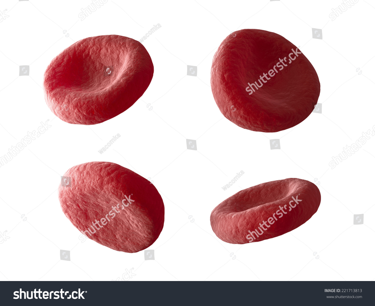 red-blood-cells-3d-erythrocyte-objects-stock-illustration-221713813-shutterstock