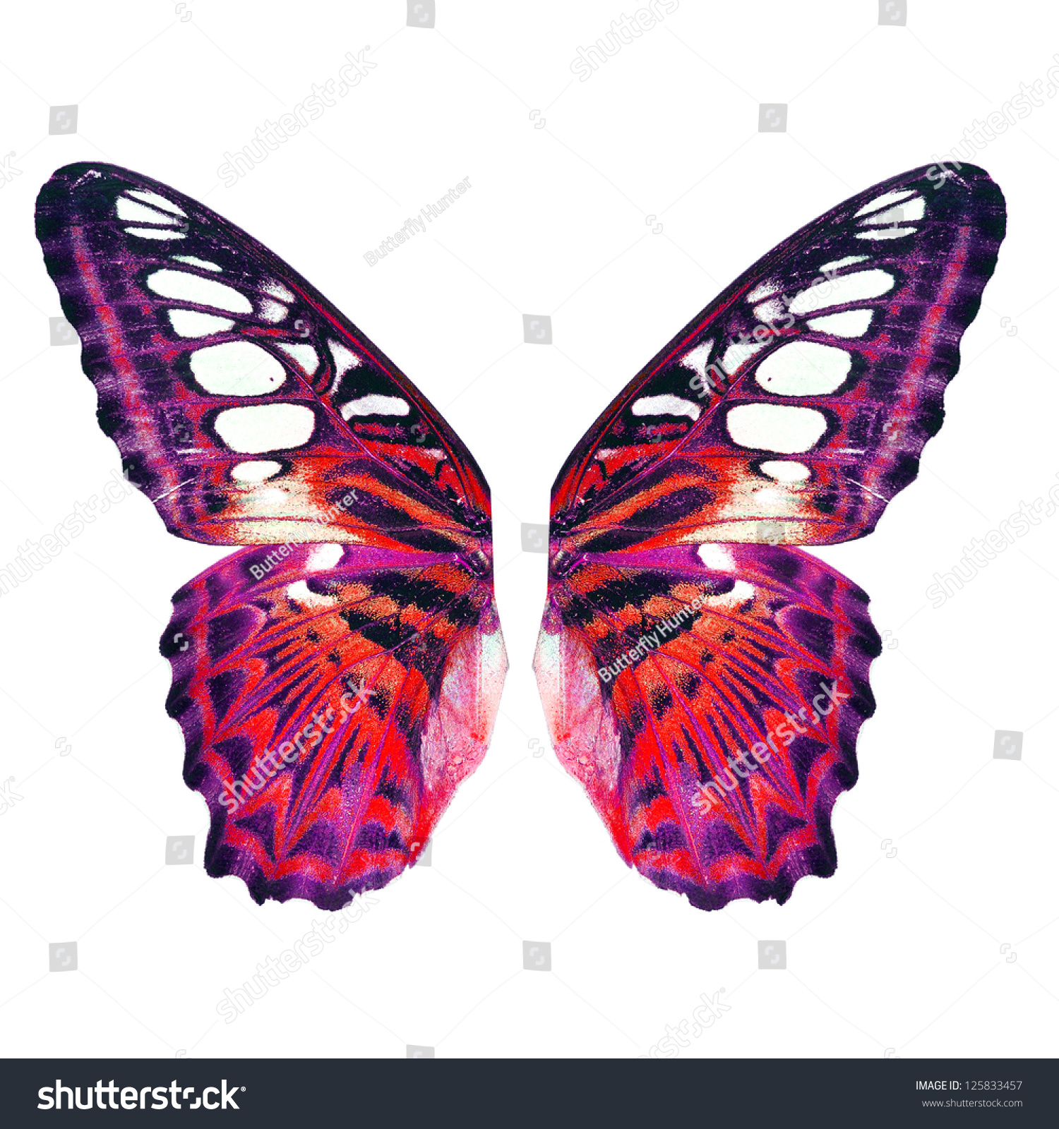 Red Butterfly Wing Isolated On White Stock Photo Edit Now 125833457