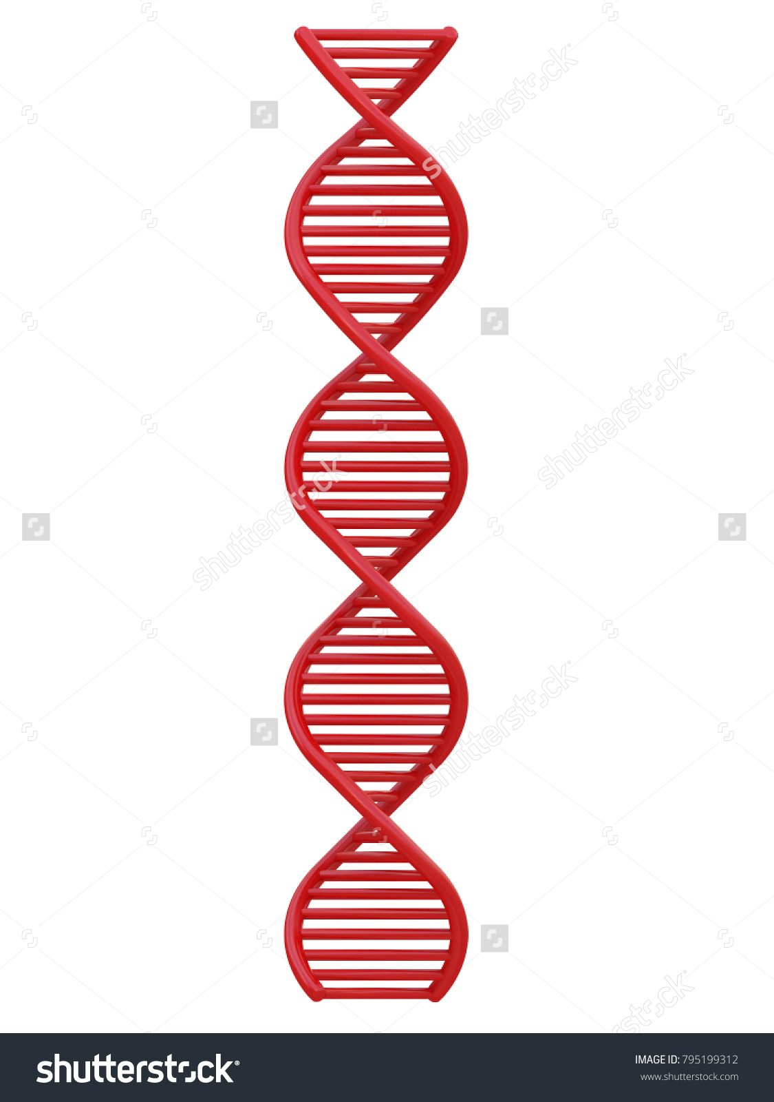 Red Dna String Front View Isolated Stock Illustration 795199312