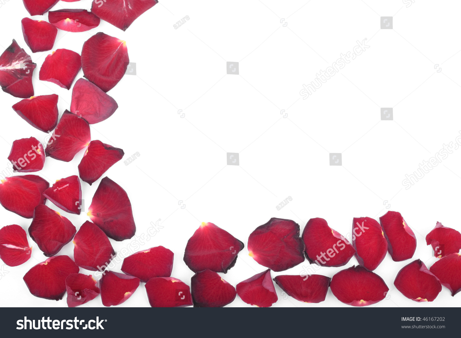 Red Rose Petals Over White Background Stock Photo 46167202 : Shutterstock