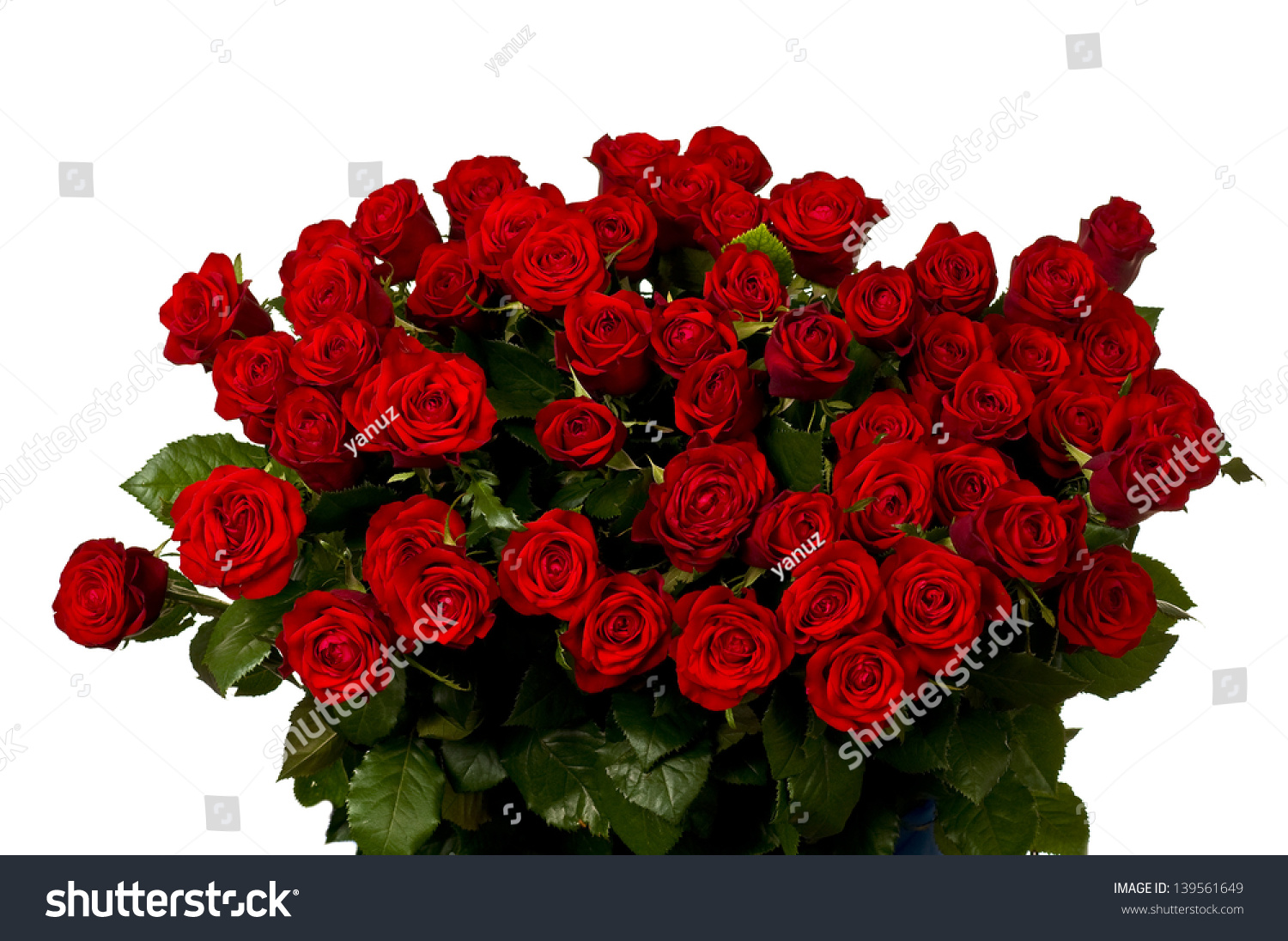 Red Roses A Huge Bouquet Of Flowers Stock Photo 139561649 Shutterstock