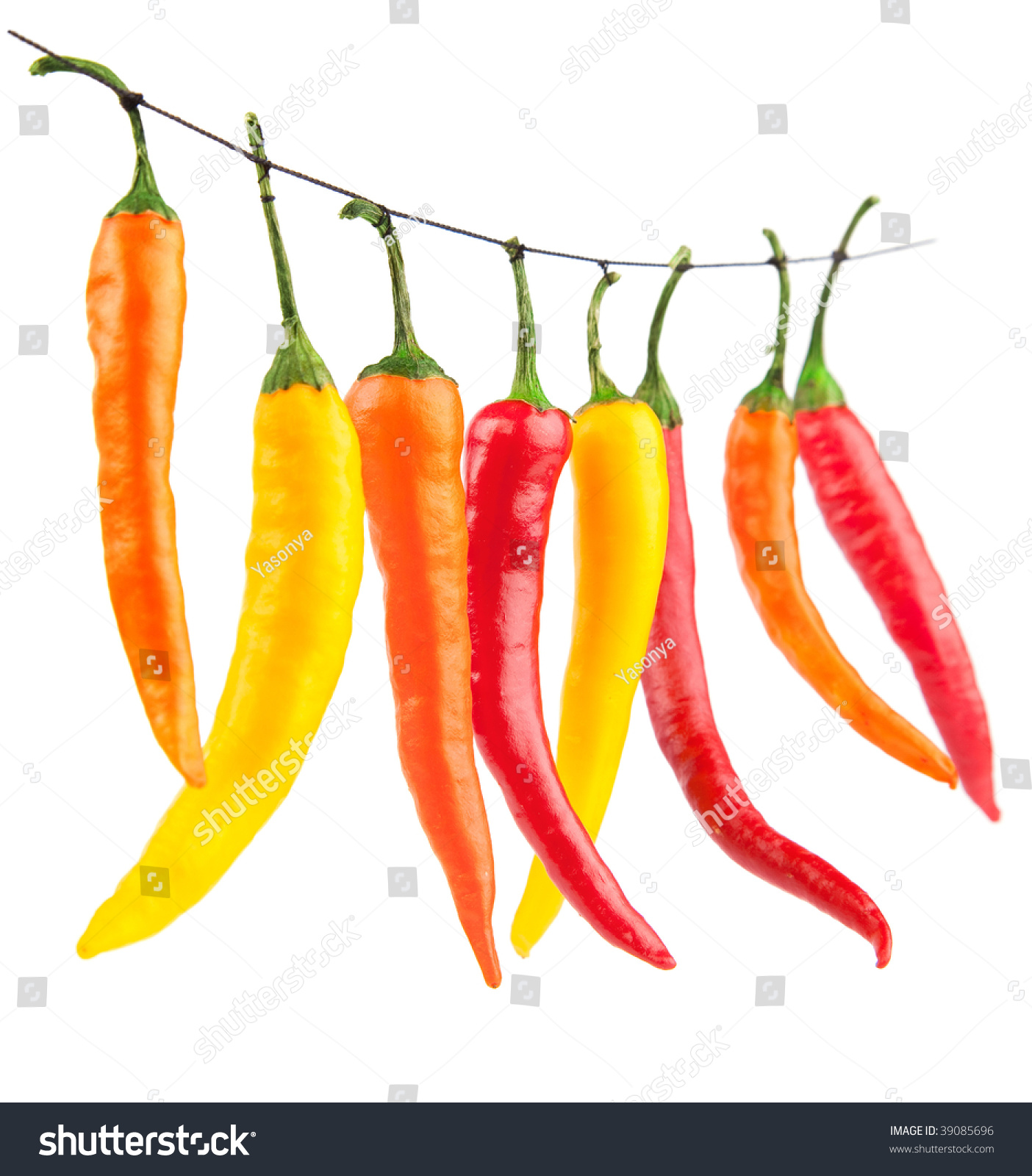 chilli peppers and the southeast asian identity Every chapter is worth reading i could imagine it also finding a place in, or even being used as a core text for various courses on southeast asia and i have . chilli peppers and the southeast asian identity Every chapter is worth reading i could imagine it also finding a place in, or even being used as a core text for various courses on southeast asia and i have .
