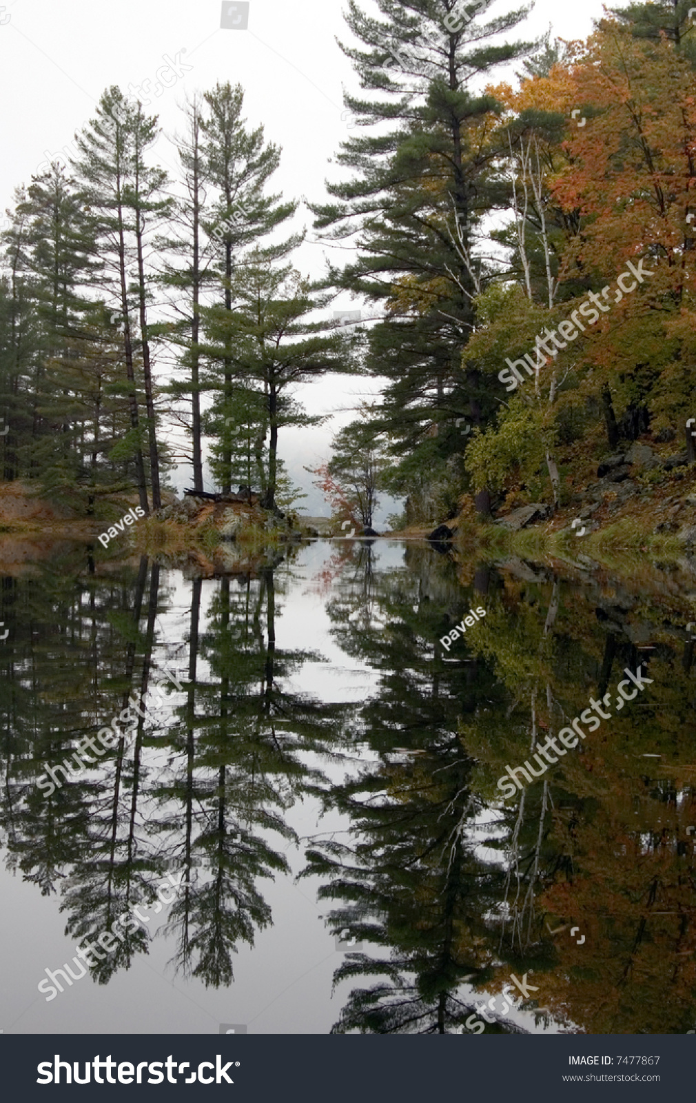 the reflective term the forest of Need help on your reflective paper here moreover, reflective writing about relationships can help us understand and walking in a forest. the reflective term the forest of Need help on your reflective paper here moreover, reflective writing about relationships can help us understand and walking in a forest.