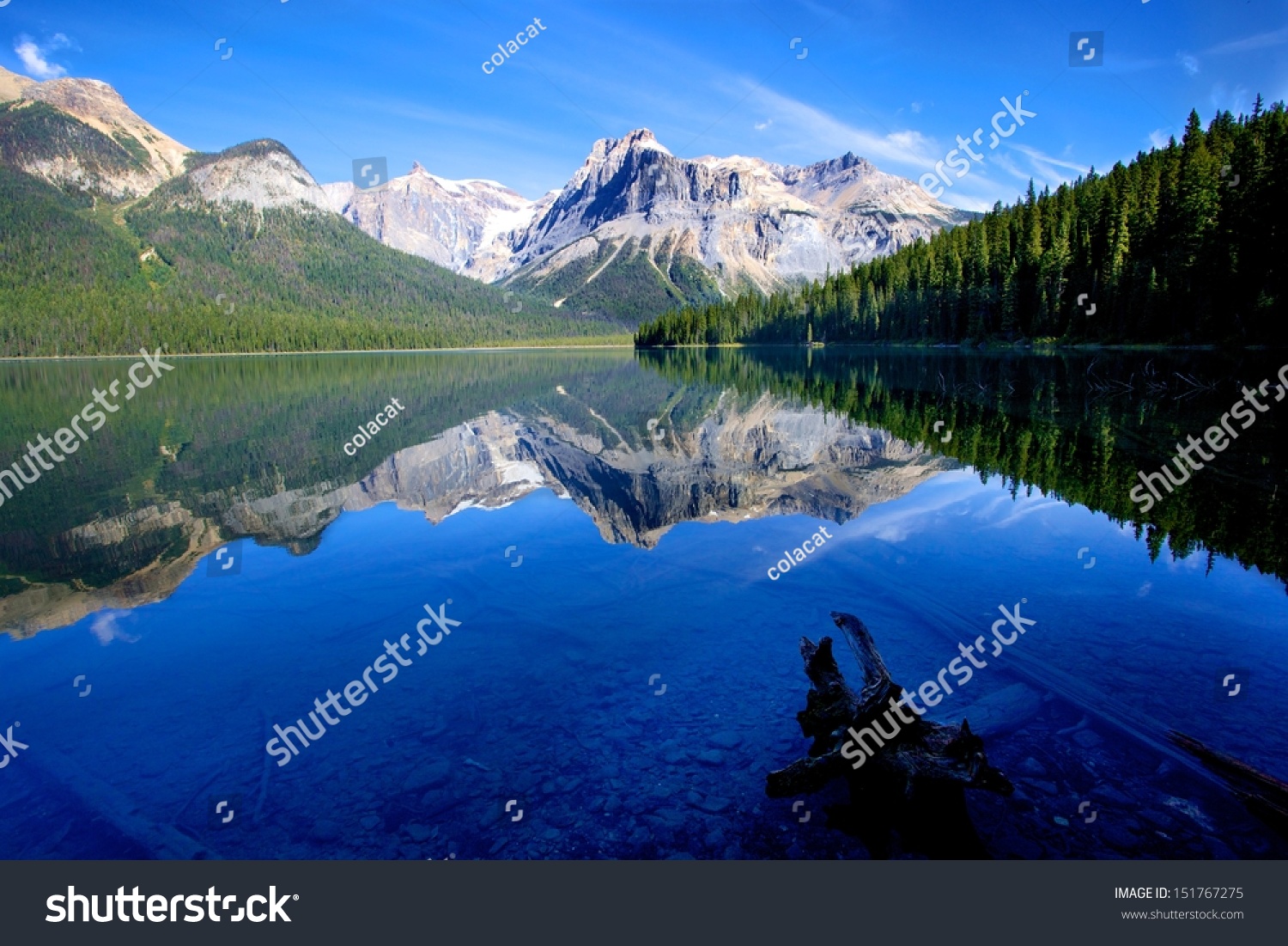 Reflection Mountain Trees Near Emerald Lake Stock Photo 151767275