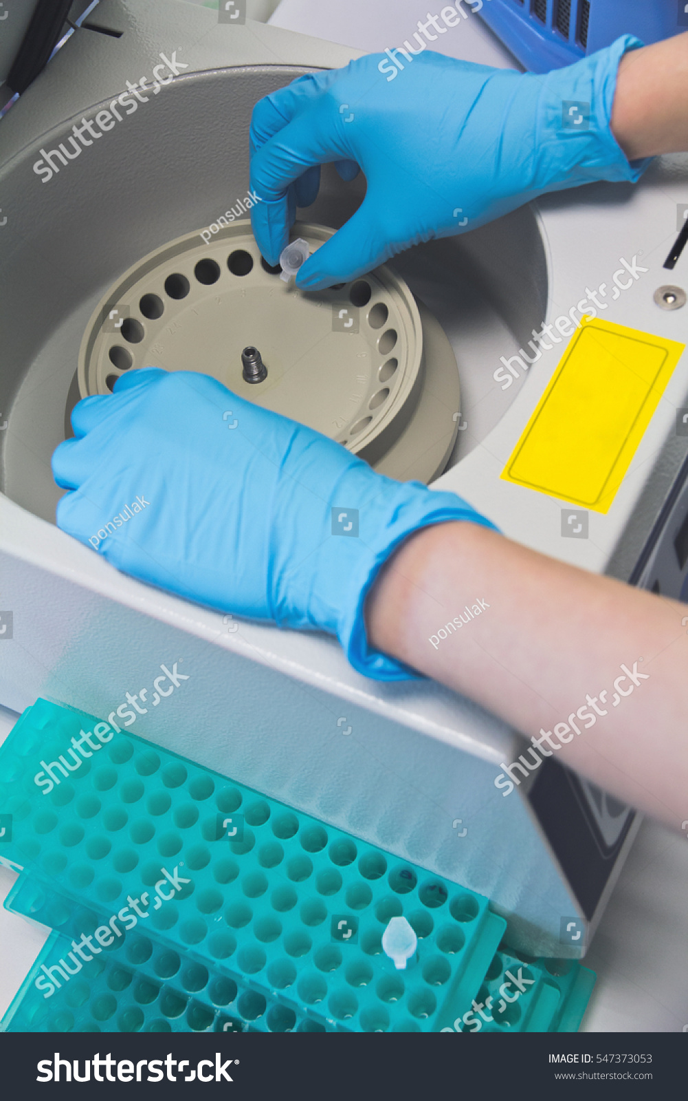 Research Scientist Putting Test Tube Into Stock Photo 547373053