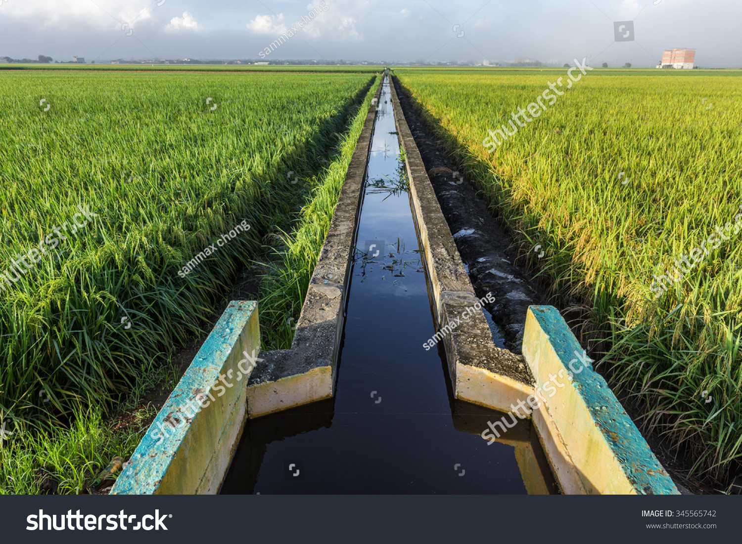 Rice Field Irrigation Canal System Stock Photo Edit Now 345565742