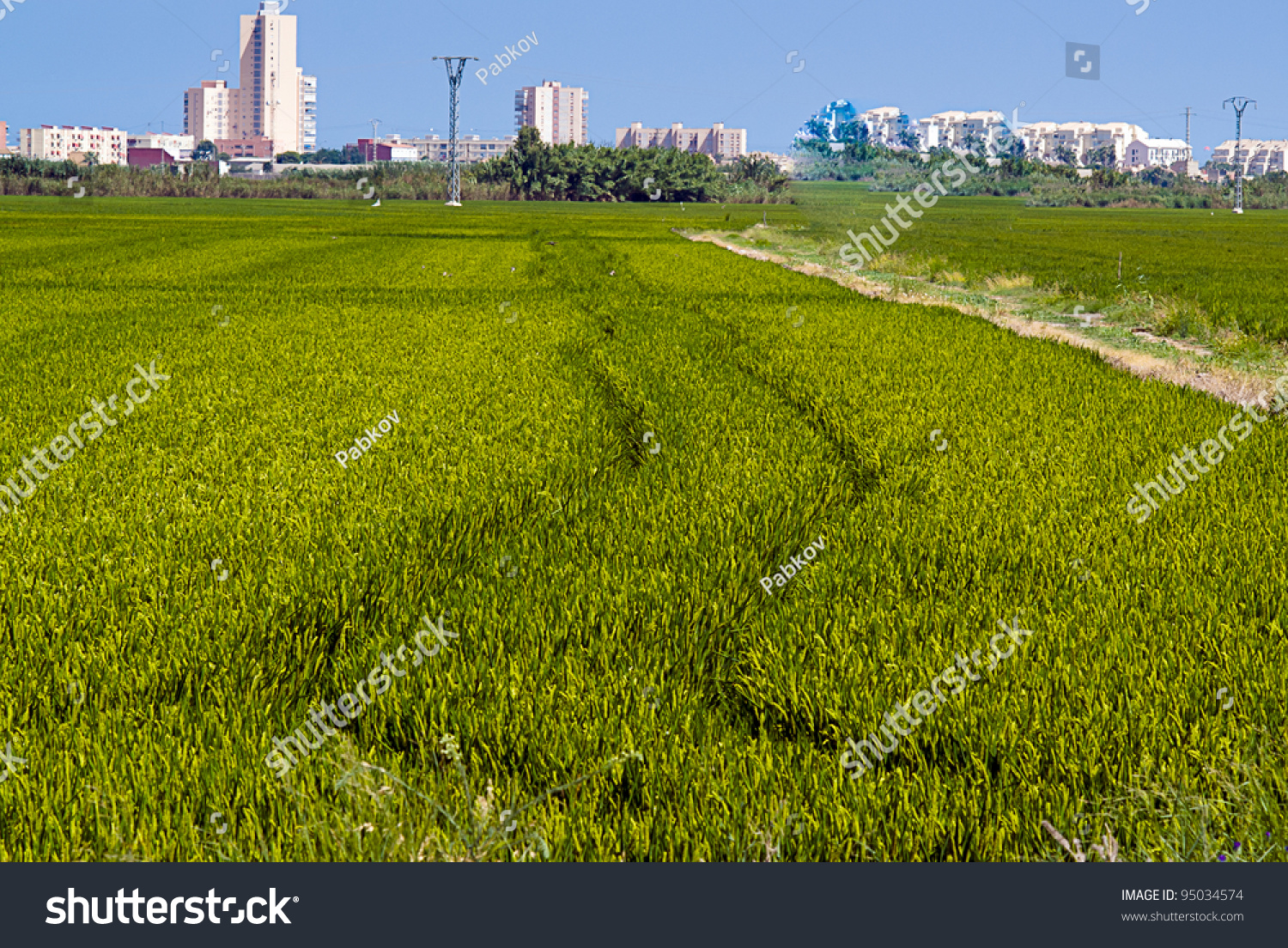 Albufera Arroz Images Stock Photos Vectors Shutterstock