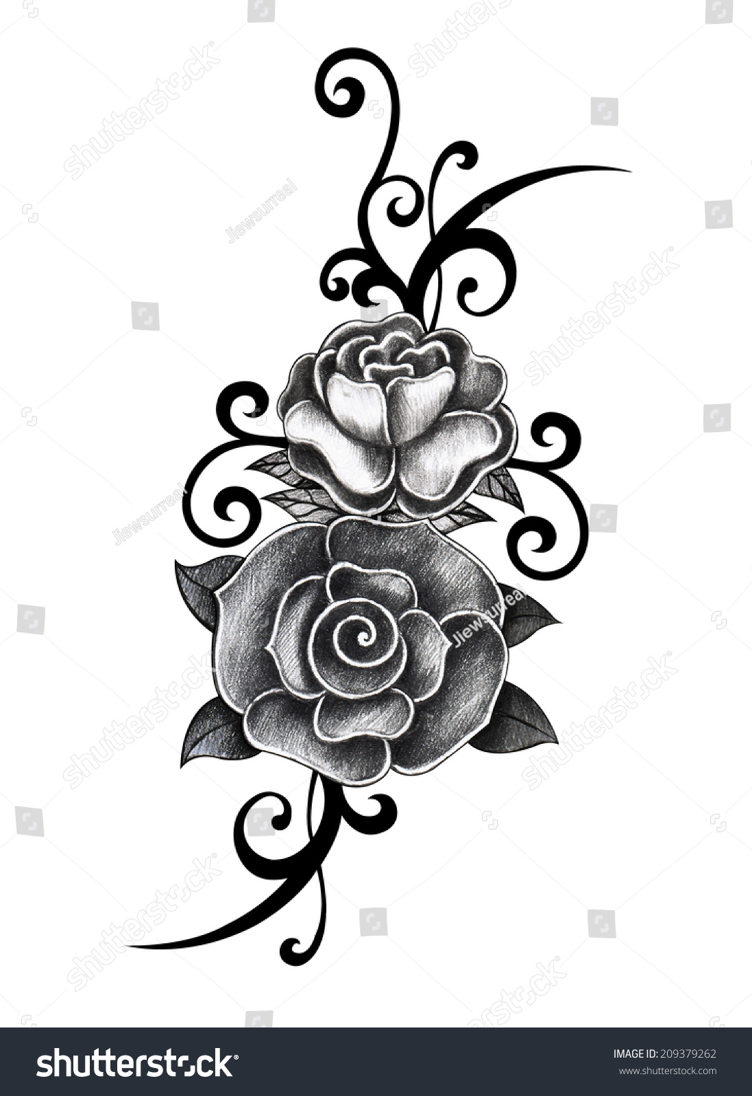 Rose Tattoo. Hand Drawing On Paper. Stock Photo 209379262 ...