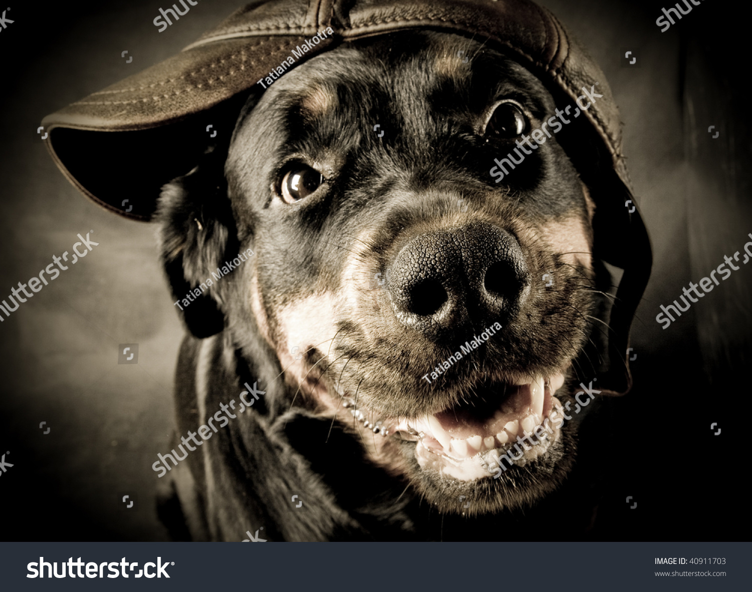 Love being rottweiler girl Letters has