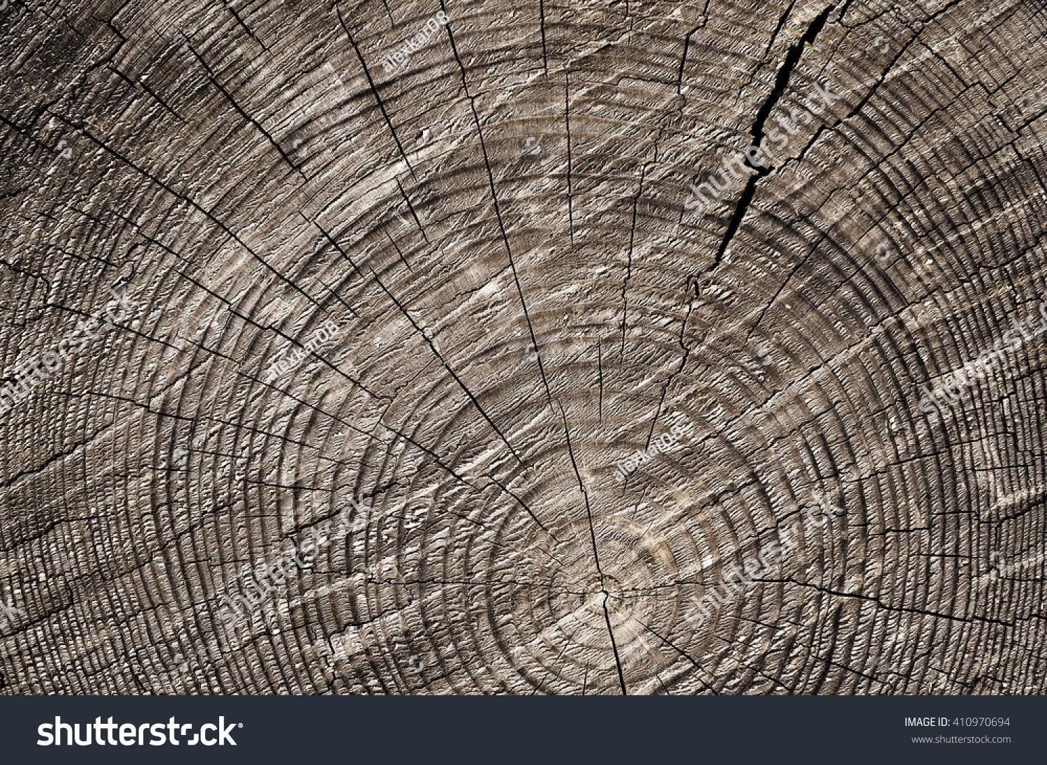 Rough Wooden Cut Texture Tree Rings Stock Photo Shutterstock