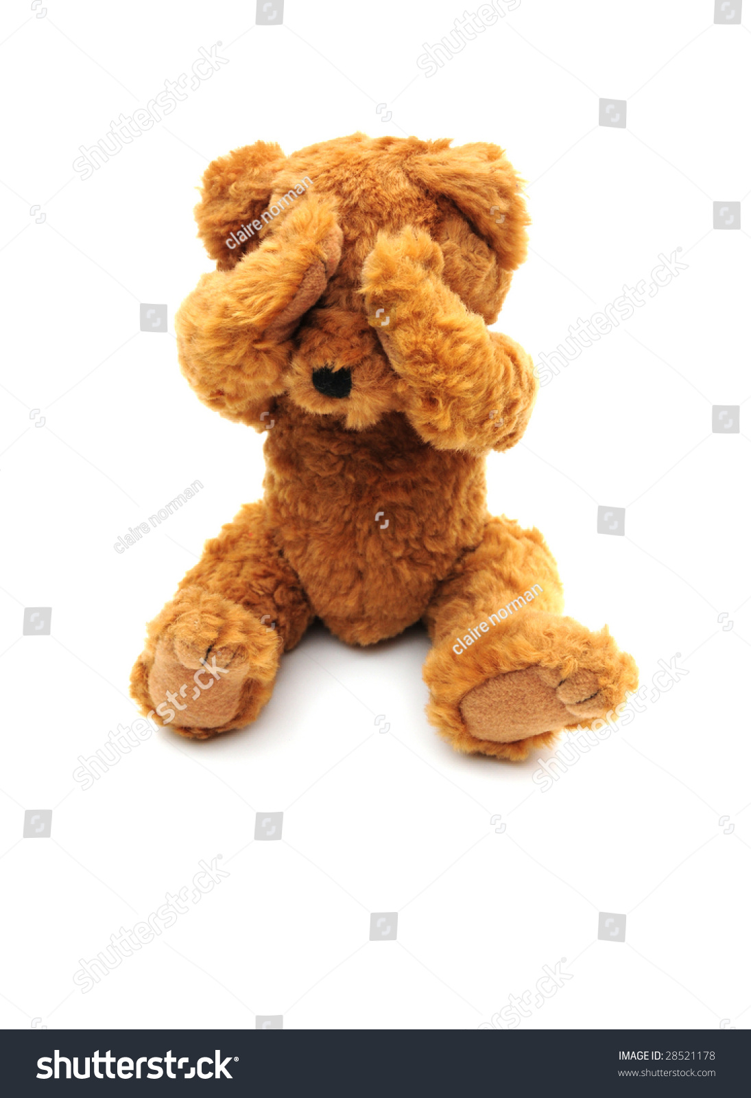 sad bear plush