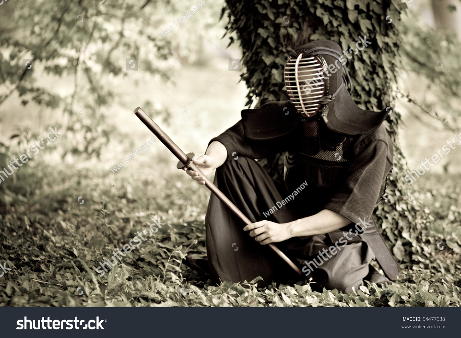 stock-photo-samurai-sitting-under-the-tree-54477538.jpg