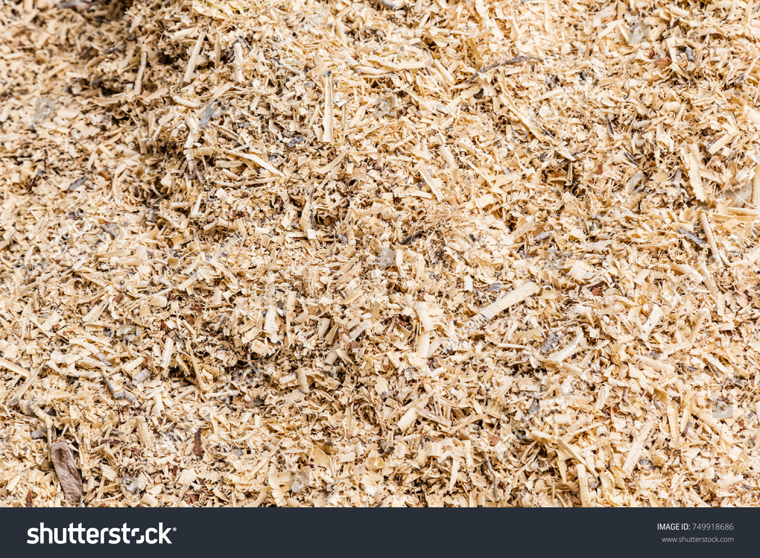 Sawdust Wood Dust Texture Background Stock Photo Shutterstock