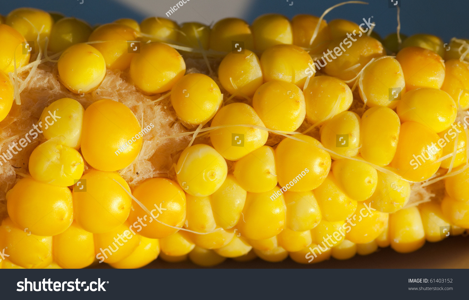 Scattered Kernel Of Corn Cob Stock Photo 61403152 Shutterstock