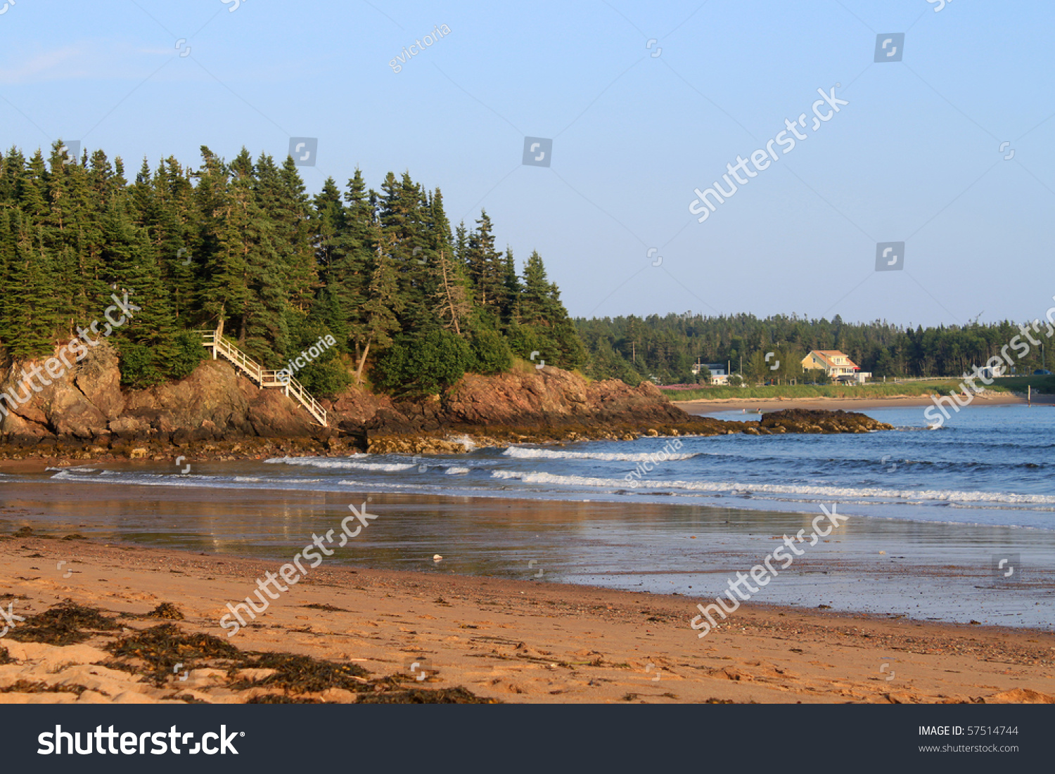 Scenic View Of New River Beach In New Brunswick, Canada With Seaweed