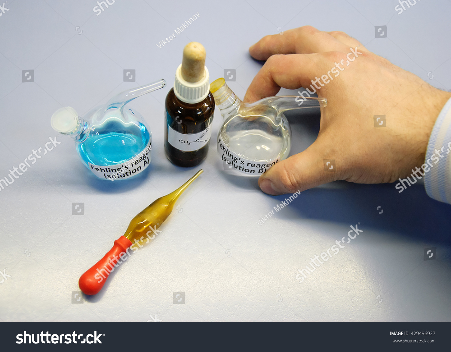 Scientist going to carry out an experiment using Fehling's A and Fehling's B solutions Scientist going to carry out an experiment using Fehling's A and Fehling's B solutions