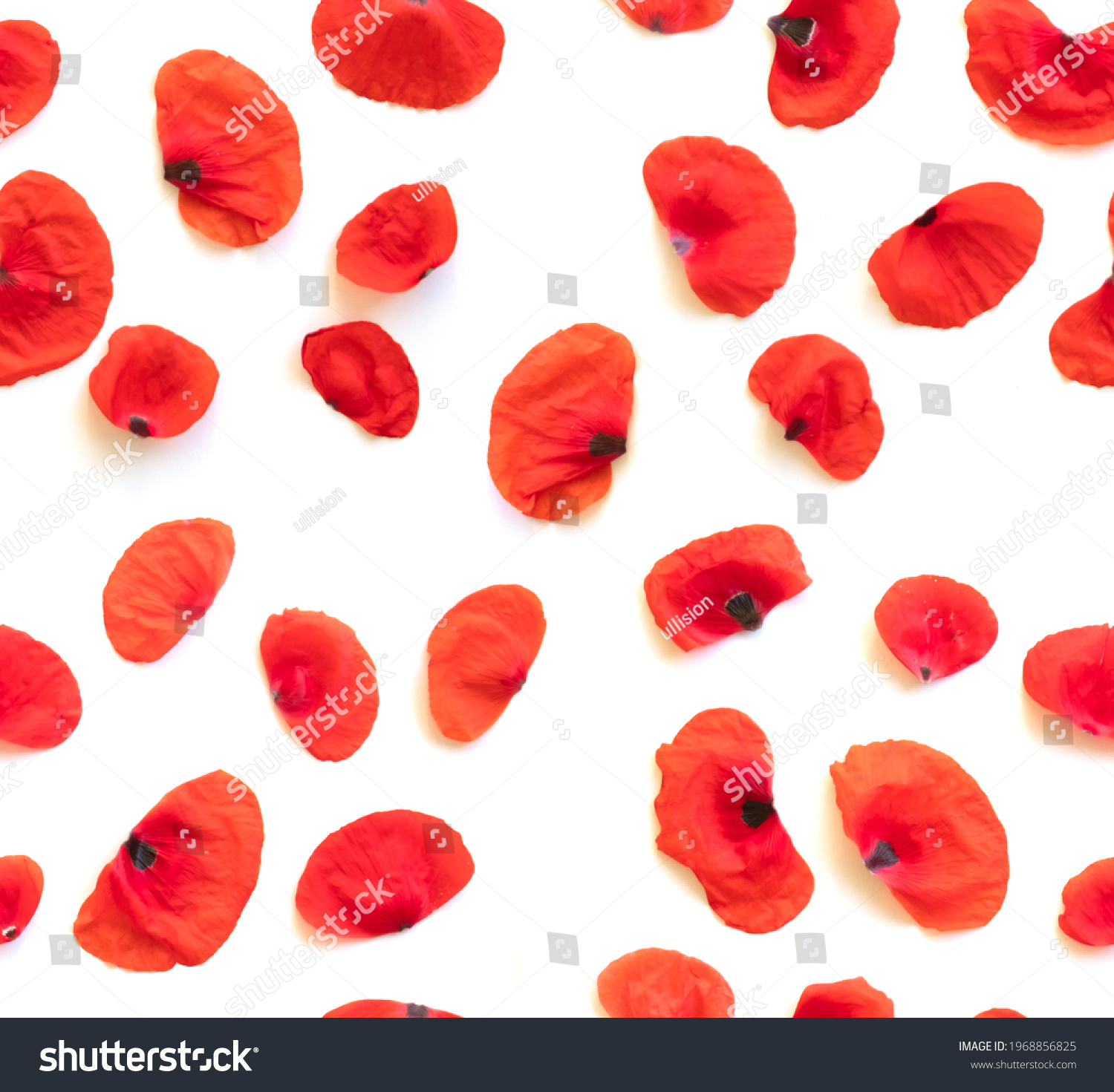 213 162 Poppy Petal Images Stock Photos Vectors Shutterstock