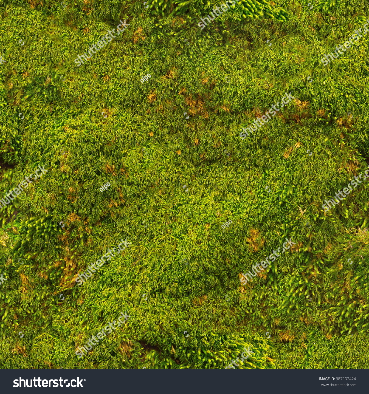 Seamless Tile Texture Seamless Forest Moss Stock Photo 387102424 ...