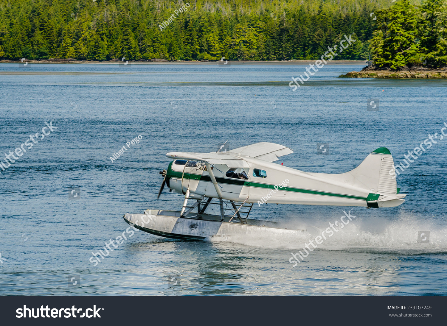 Seaplane Landing Stock Photo 239107249 - Shutterstock