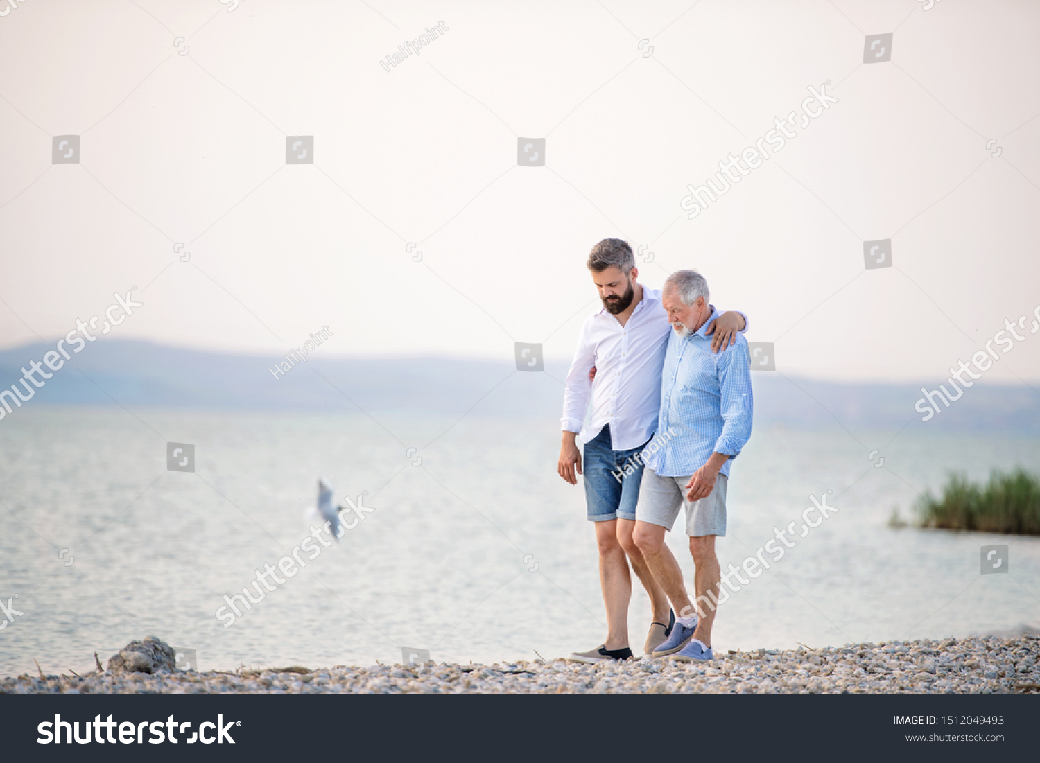 Senior Father Mature Son Walking By Stock Photo Shutterstock