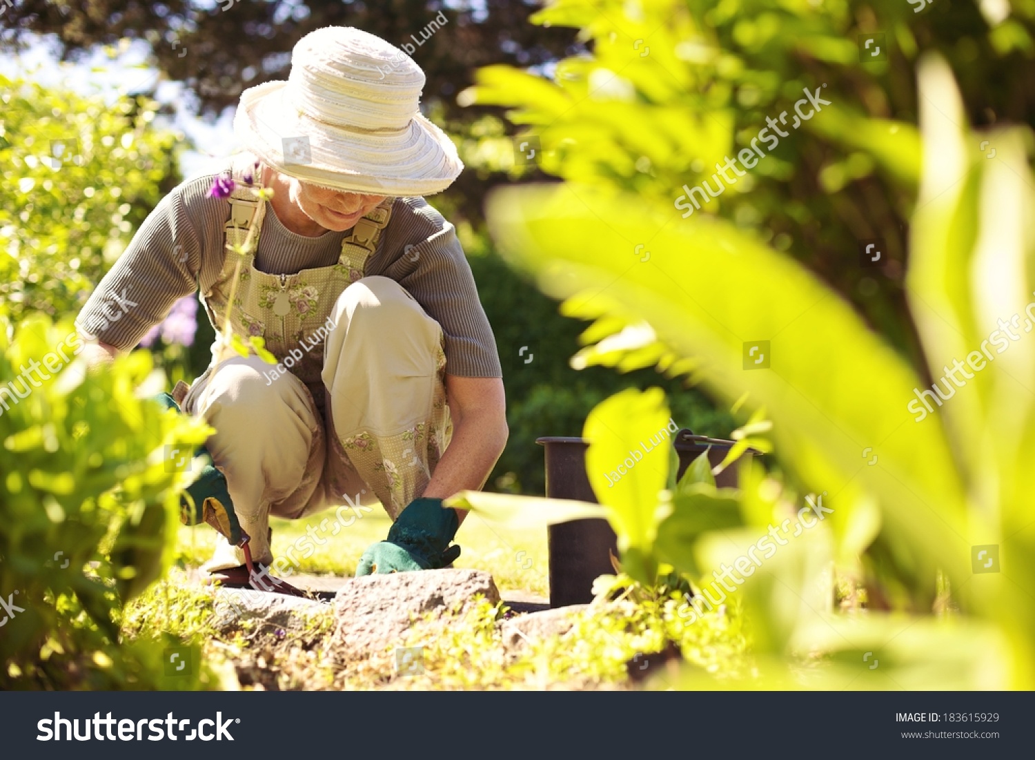 Senior Woman Gardening Tool Working Her Stock Photo 183615929