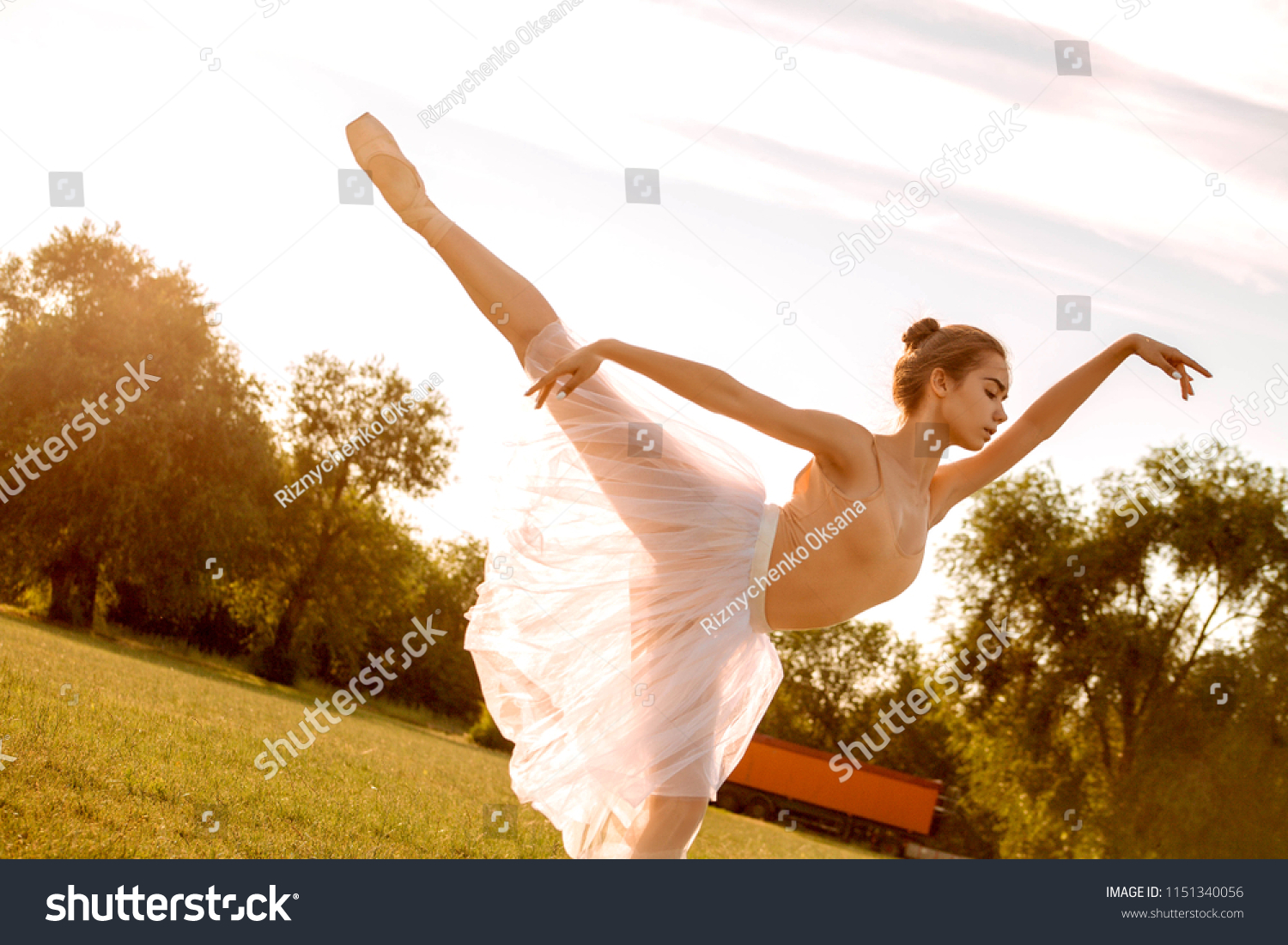 Sensual Ballerina Nature Stock Photo 1151340056 Shutterstock