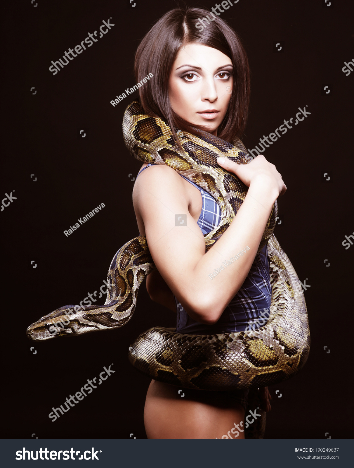 Sexy Brunette Holding Python Over Black Stock Photo