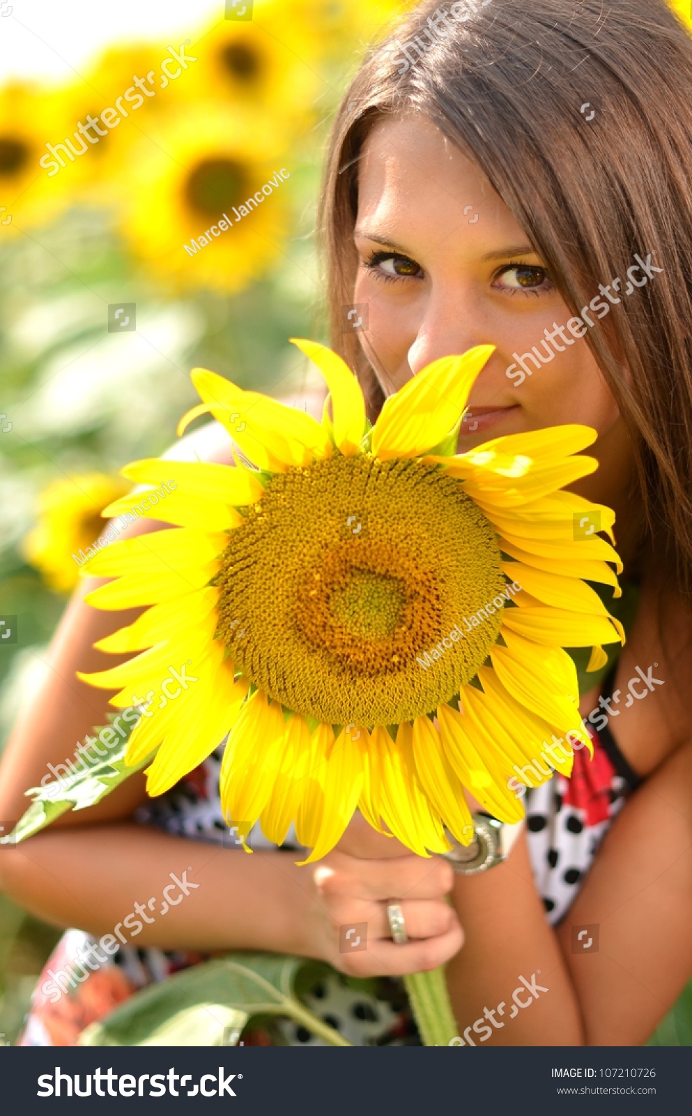 Sexy Woman With Sunflowers Stock Photo 107210726 : Shutterstock