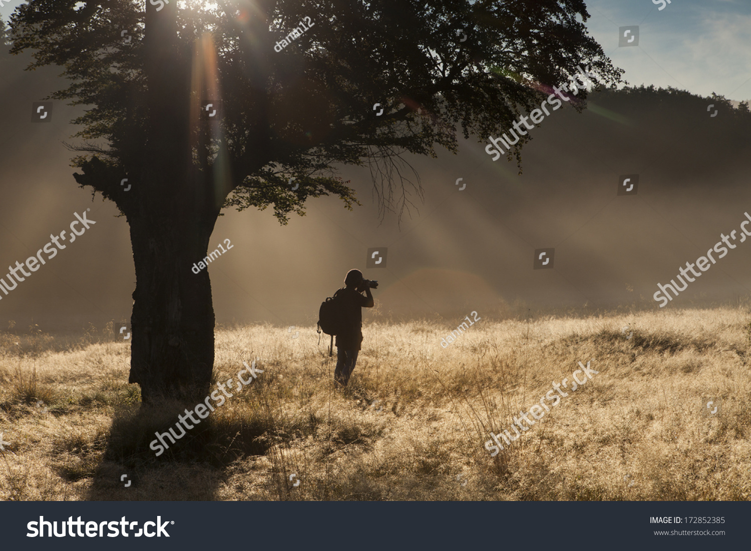 Silhouette Woman Standing Under Tree Forest Stock Photo Edit Now