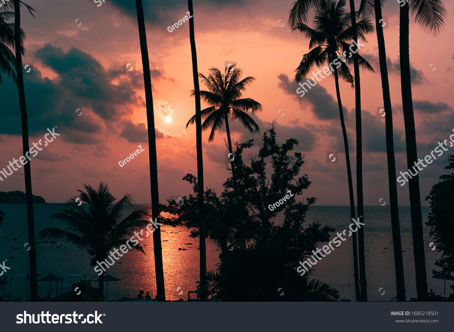 Silhouette Tropical Palm Tree Sun Light Stock Photo Edit Now 1685218501