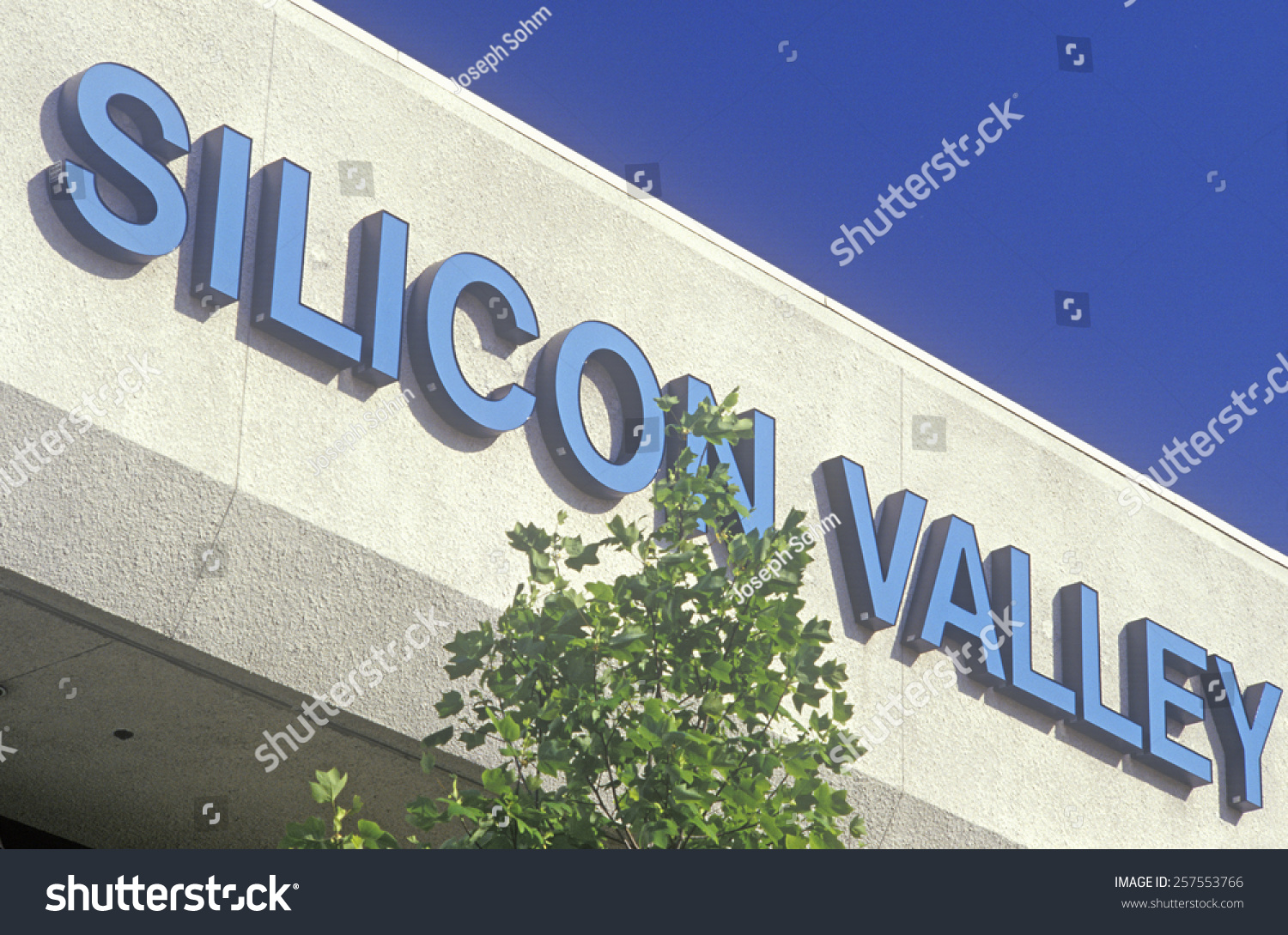 Stock options silicon valley