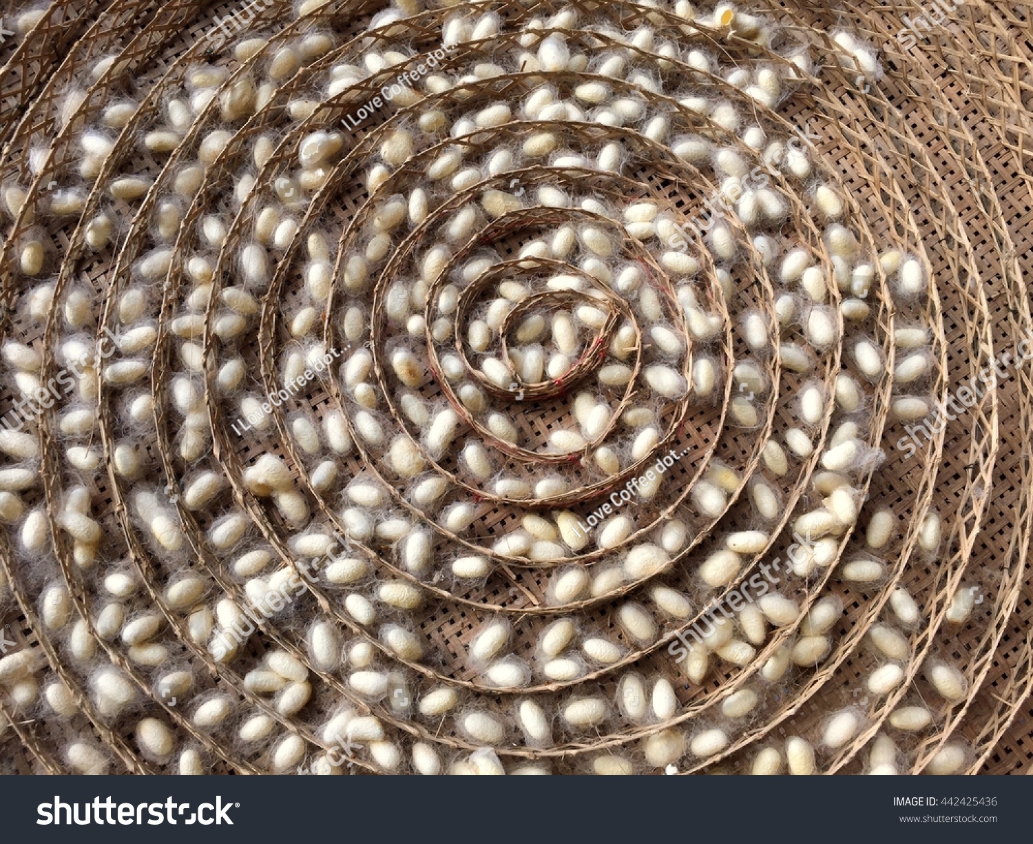 Silkworm Cocoons Weave Bamboo Threshing Basket Stock Photo