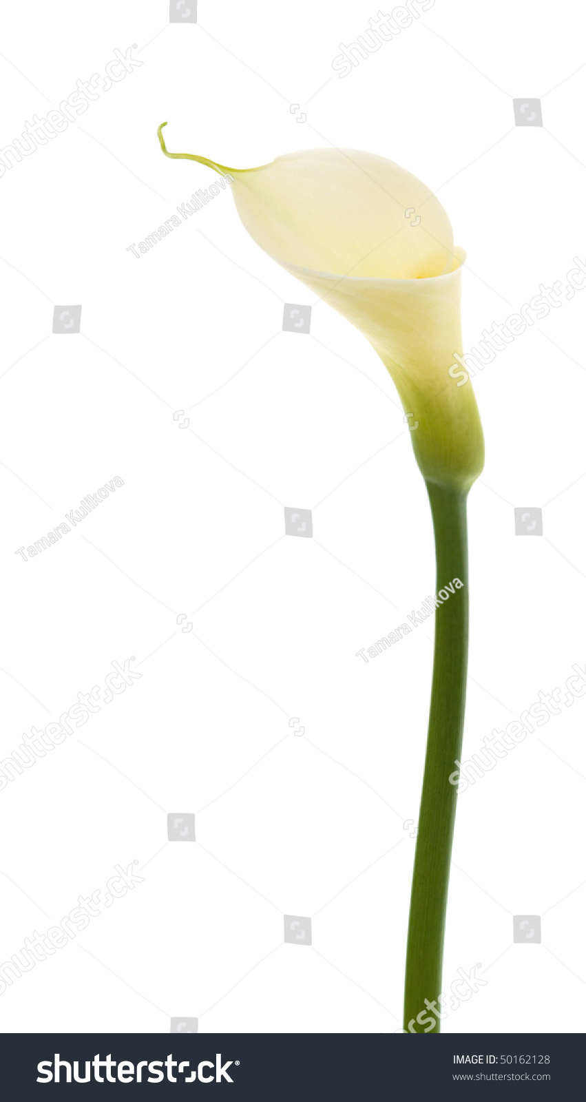 lilly singles over 50 Meet single women over 50 in montana with singles over 50 montana mature dating. lilly singles over 50 Meet single women over 50 in montana with singles over 50 montana mature dating.