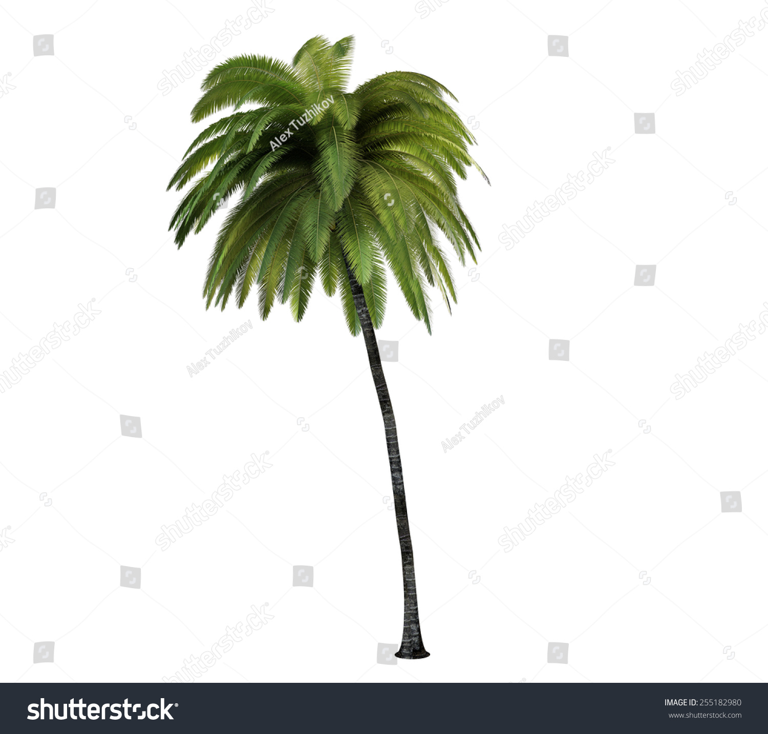 palms latin singles Meet thousands of latina singles in the palm springs, california dating area today find hispanic love at amorcom. palms latin singles Meet thousands of latina singles in the palm springs, california dating area today find hispanic love at amorcom.