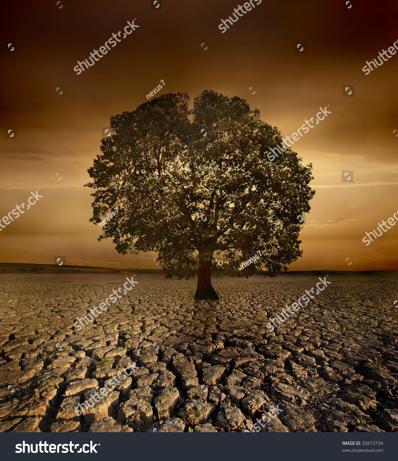 Single Tree Dying In A Cracked Land Because Of Pollution And Global