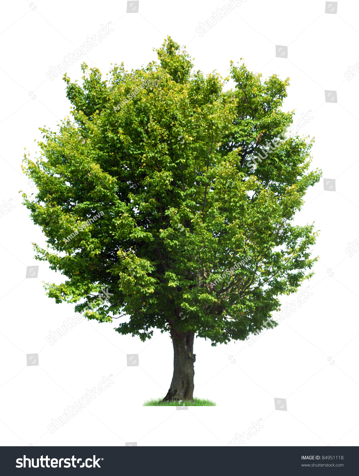 Shutter single hall tree