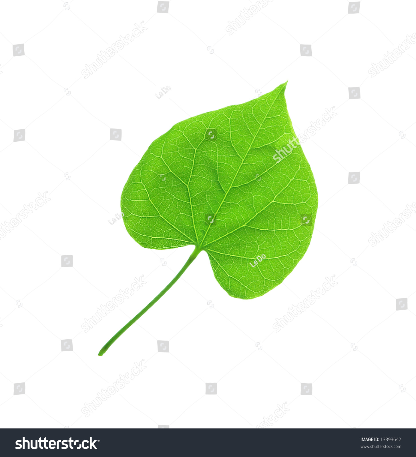 green singles Natural friends was created in 1985 as the uk's first 'green' dating and friendship service since then we have helped thousands of singles to find love,. green singles Natural friends was created in 1985 as the uk's first 'green' dating and friendship service since then we have helped thousands of singles to find love,.