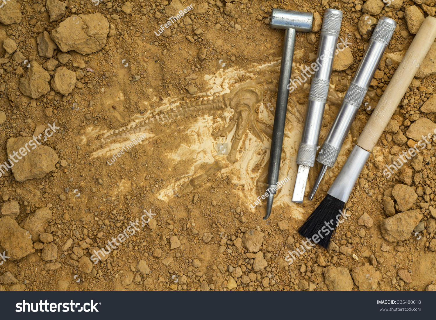 archaeologist digging dinosaur bones