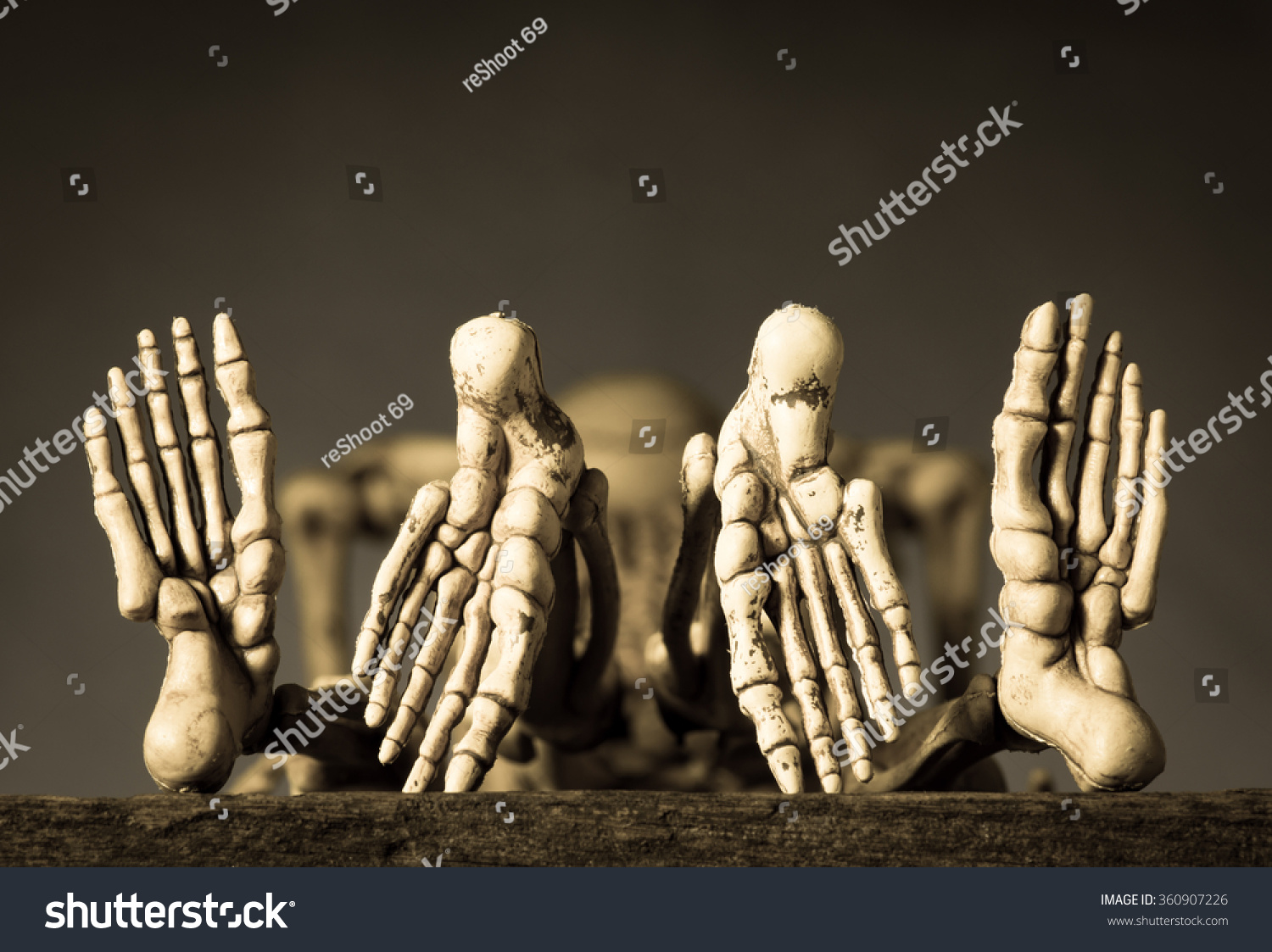 Skeletons Couple Having Sex Vintage Color Stock Photo Edit Now