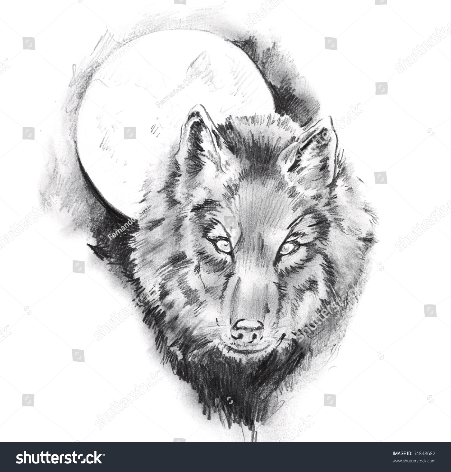 Sketch Of Tattoo Art, Wolf Stock Photo 64848682 : Shutterstock