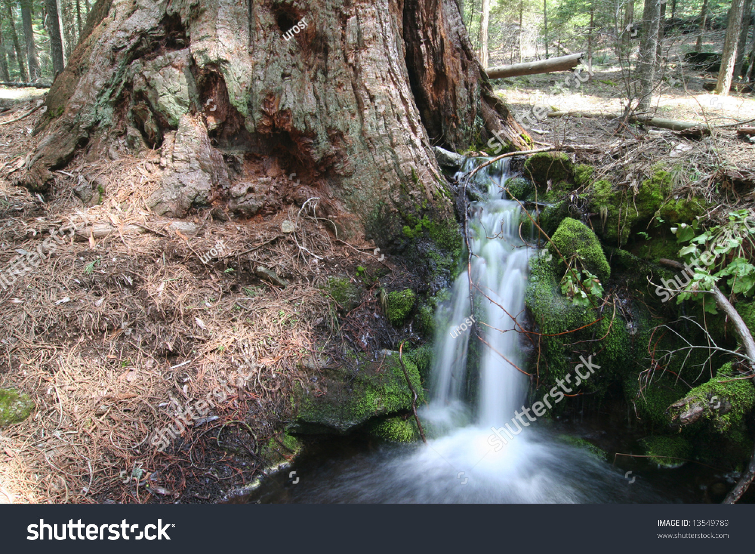 middle eastern singles in sequoia national park Discover the majestic mountain loop, linking sequoia, kings canyon and yosemite national parks. middle eastern singles in sequoia national park Discover the majestic mountain loop, linking sequoia, kings canyon and yosemite national parks.
